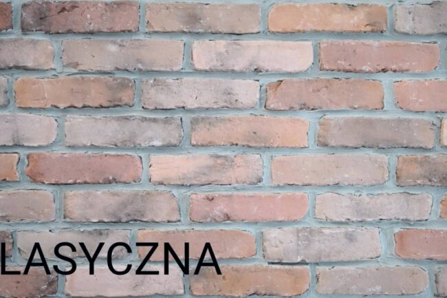 płytka ze starych cegieł w kolorze klasycznym płytka ze starych cegieł w kolorze klasycznym